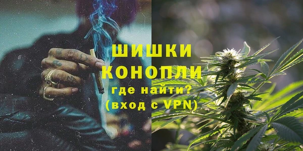 ГАЛЛЮЦИНОГЕННЫЕ ГРИБЫ Гусев