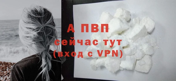 гидропоника Гусь-Хрустальный