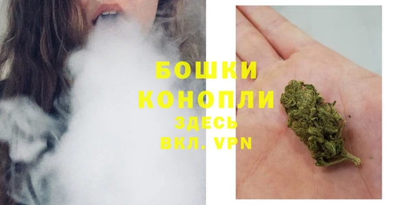 гидропоника Гусь-Хрустальный