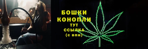 гидропоника Гусь-Хрустальный