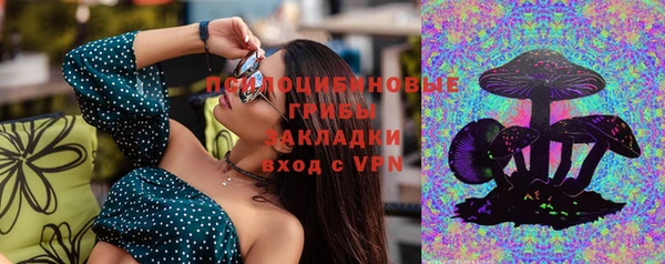 ГАЛЛЮЦИНОГЕННЫЕ ГРИБЫ Гусев