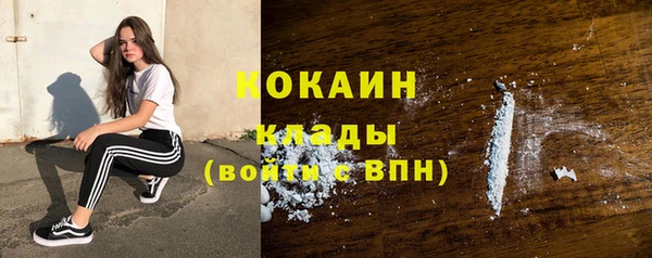 гидропоника Гусь-Хрустальный