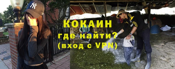 ГАЛЛЮЦИНОГЕННЫЕ ГРИБЫ Гусев